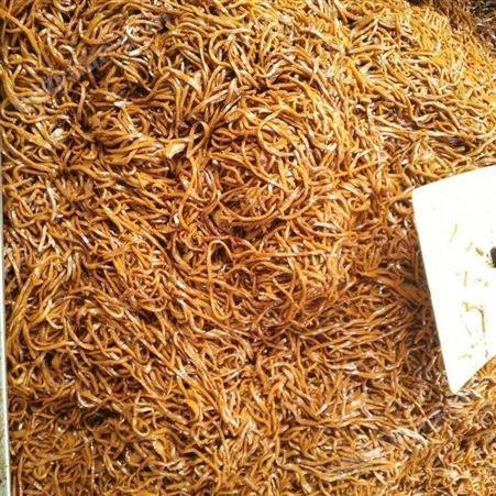 金博威供应不锈钢千页豆腐切丝机厂家报价 安徽淮南千叶豆腐切丝机价格