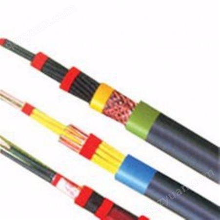 FF46氟塑料耐高温电力电缆价格 天康厂家批发直销
