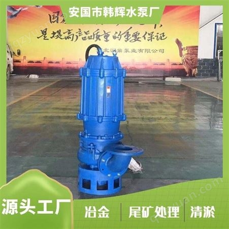 榆林50ZJQ25-30潜水渣浆泵 耐磨立式渣浆泵 韩辉 城市建筑潜水渣浆泵