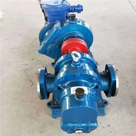 驰通厂家定制LC罗茨泵 LC10/18/38/50罗茨油泵 沥青保温泵 保温转子泵