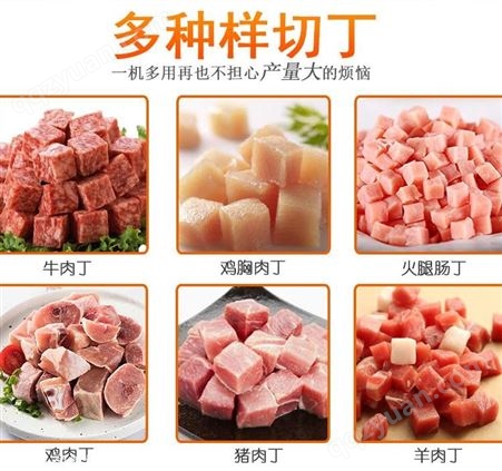 九盈JY-550肉丁机 商用多功能切肉机 鲜肉冻肉切丁机 切鸡胸肉