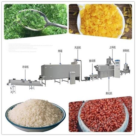 济南泰诺 时产200公斤人造米生产设备 全自动人工合成米生产线机器制作