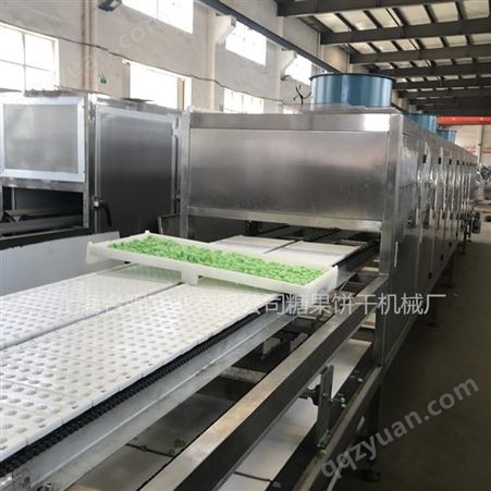 全自动砂质硬糖浇注生产线 梨膏糖果生产设备 上海合强制造商