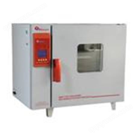 上海博讯BGZ-246热空气消毒箱 /液晶程控热空气消毒箱型号-价格