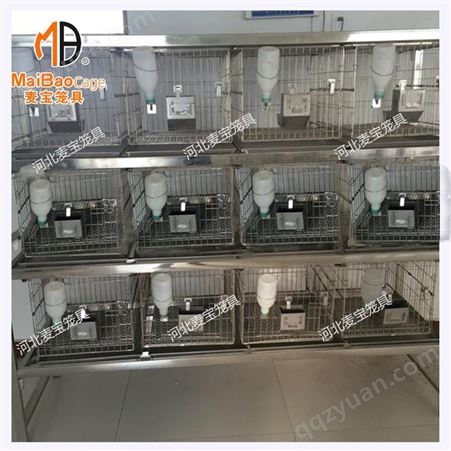 养殖设备 干养式不锈钢实验兔笼 连体自动化三层兔笼 繁育笼