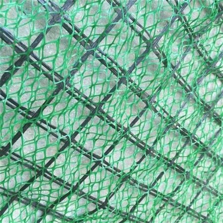 三维植被网护坡 三维植被网价格 护坡植草施工 三维植被网厂家各地区售卖