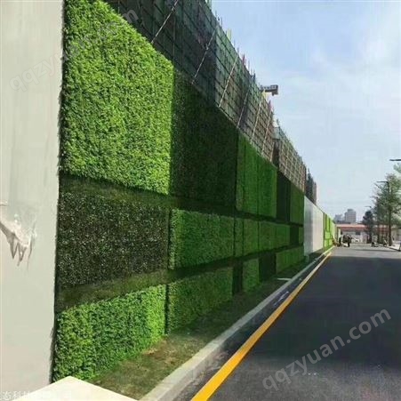 上海室内植物墙批发  绿墙供应