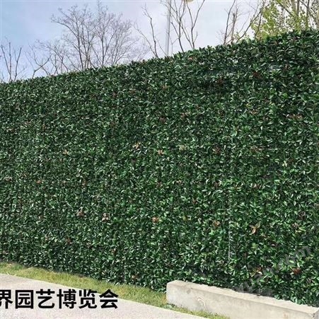 上海室内植物墙批发  绿墙供应
