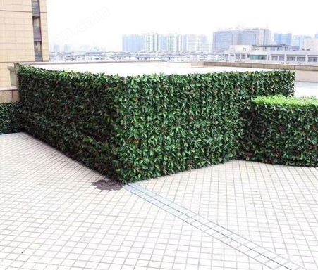 生态植物墙
