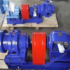 生产出售 保温转子泵 不锈钢转子泵 凸轮转子泵