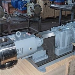 现货供应 不锈钢凸轮转子泵 LC罗茨转子泵 凸轮转子泵 欢迎咨询