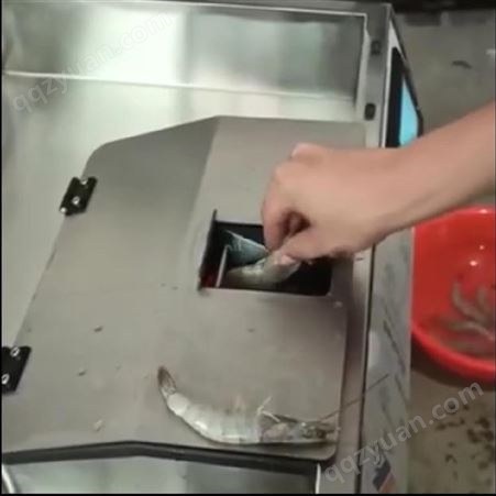 百科剪虾机 挑虾线机价格 虾类处理机器