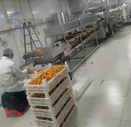 炸鸡排专用设备全自动鸡排油炸机器专业厂家诺为尔直销