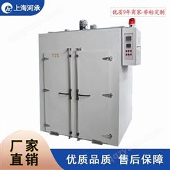 上海河承工业热风循环烘箱 电热鼓风干燥箱专用烤箱密封件烤箱