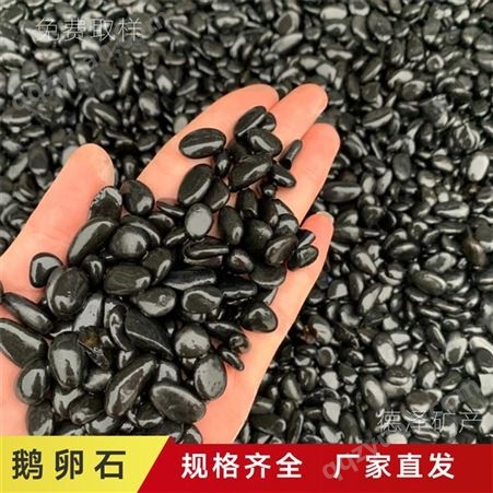 厂家现货黑色精制鹅卵石 树坑用黑卵石2-3厘米 黑卵石产地