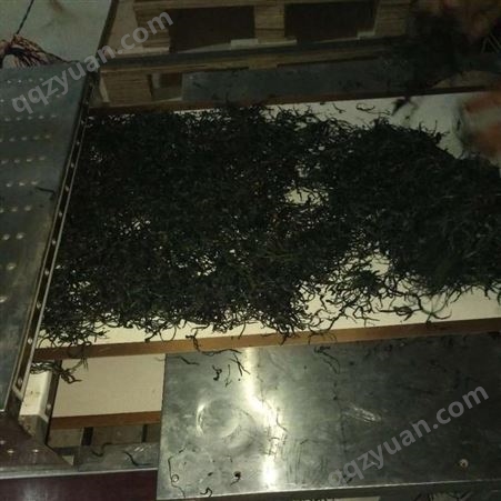 茶叶微波干燥设备 山东亚安机械设备有限公司