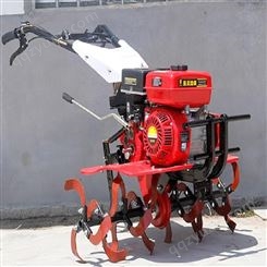 鲁程菜园管理旋耕机 小型旋地松土机 柴油耕地机