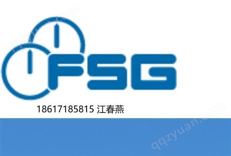 FSG 5930E01-000.021弹簧包 密封件FSG