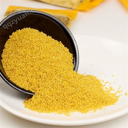 产地货源陕西 黄小米可定量 小香米 米油香甜 散装