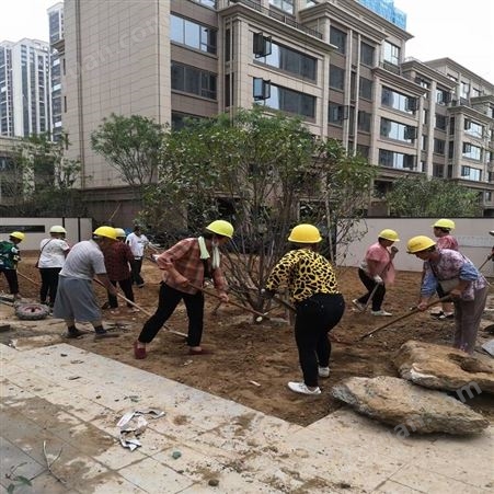 郑州园林绿化公司 绿化养护草坪修剪 绿化用苗花境设计施工
