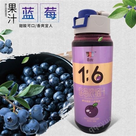 花青健牌冲调蓝莓汁 瓶装 蓝莓浓缩果汁 黑龙江美味饮品