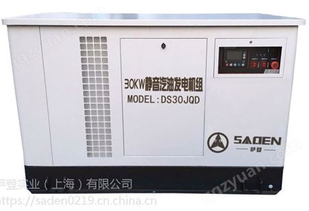 萨登DS10JQD汽油发电机移动电源车卖