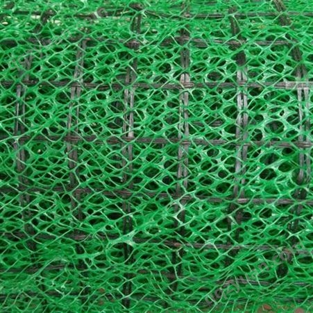 巢湖植草护坡塑料网 三维复合植被网垫 三维复合土工排水网垫 植草网