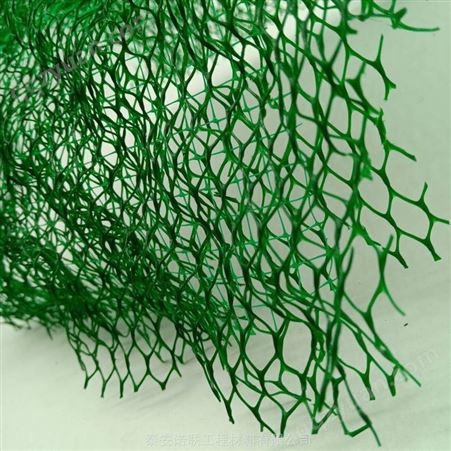 绍兴EM4三维植被网垫 高速护坡三维绿化土工网 诺联优选三维网