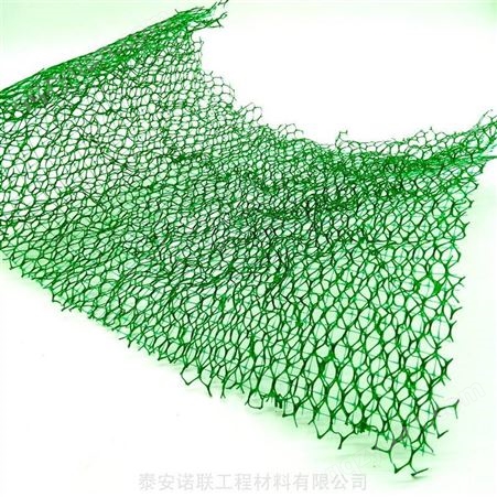 三维固土网厂家 山体护坡绿化防护三维立体植被网 诺联EM2三维植被网