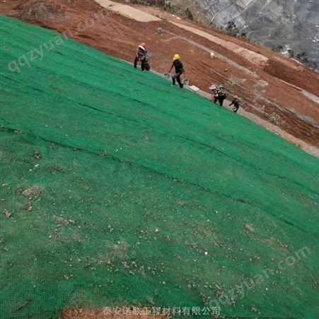 衢州高速护坡三维植被网 护坡绿化固土三维植草网垫厂家