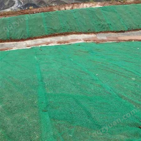 求购绿色三维植被网 出口三维土工网垫 品质定制三维植被网