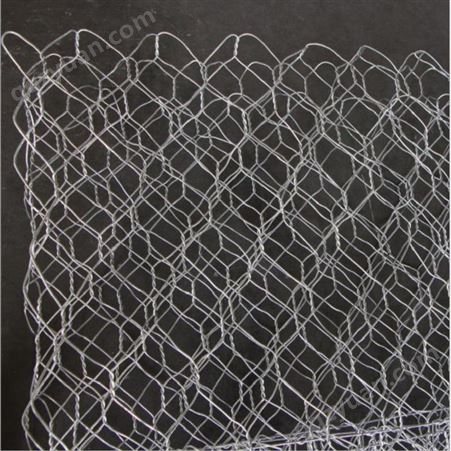 扬中供应石笼网量大从优聚厚丝网