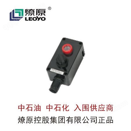 防爆配电箱-防爆LED灯-BZA8030系列防爆防腐控制按钮(IIC、DIP)